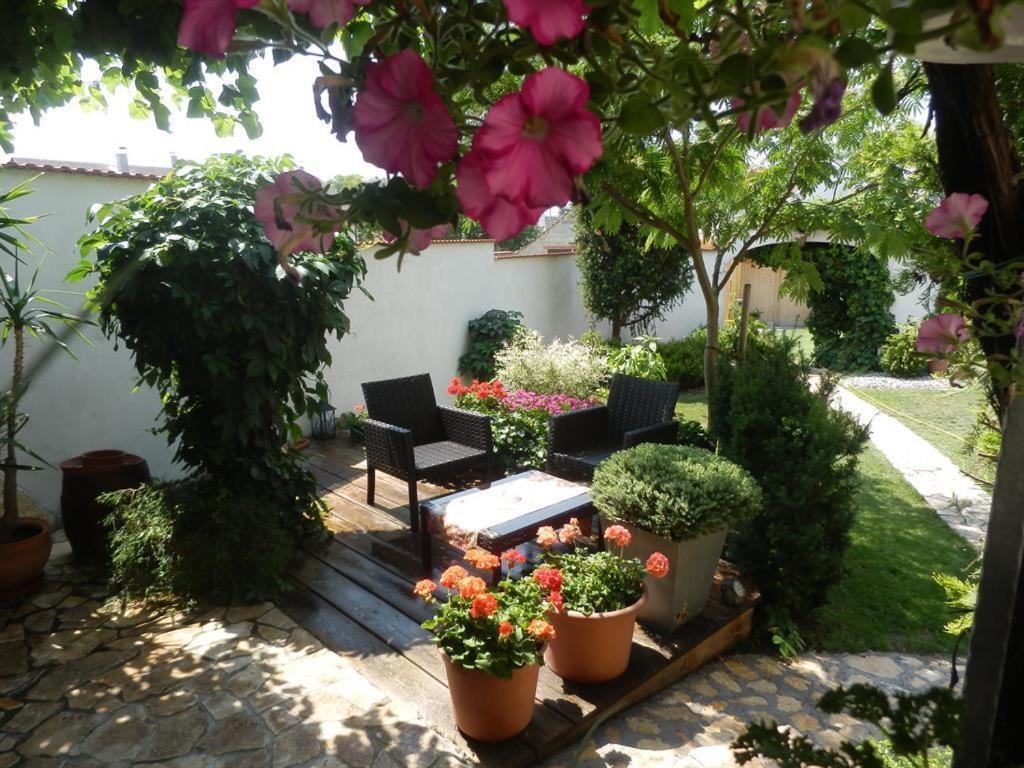 Gaestezimmer Klinger-Tongisch Apetlon Exterior foto