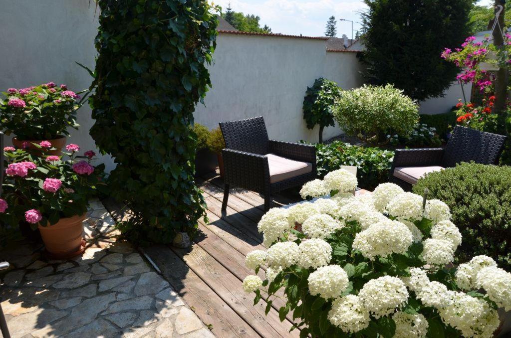 Gaestezimmer Klinger-Tongisch Apetlon Exterior foto