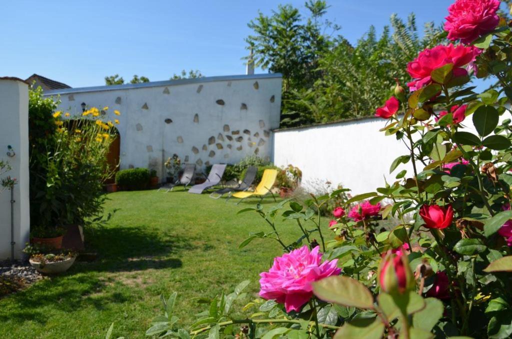 Gaestezimmer Klinger-Tongisch Apetlon Exterior foto